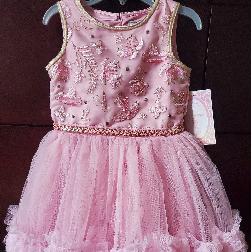 Disney Princess Aurora Dress